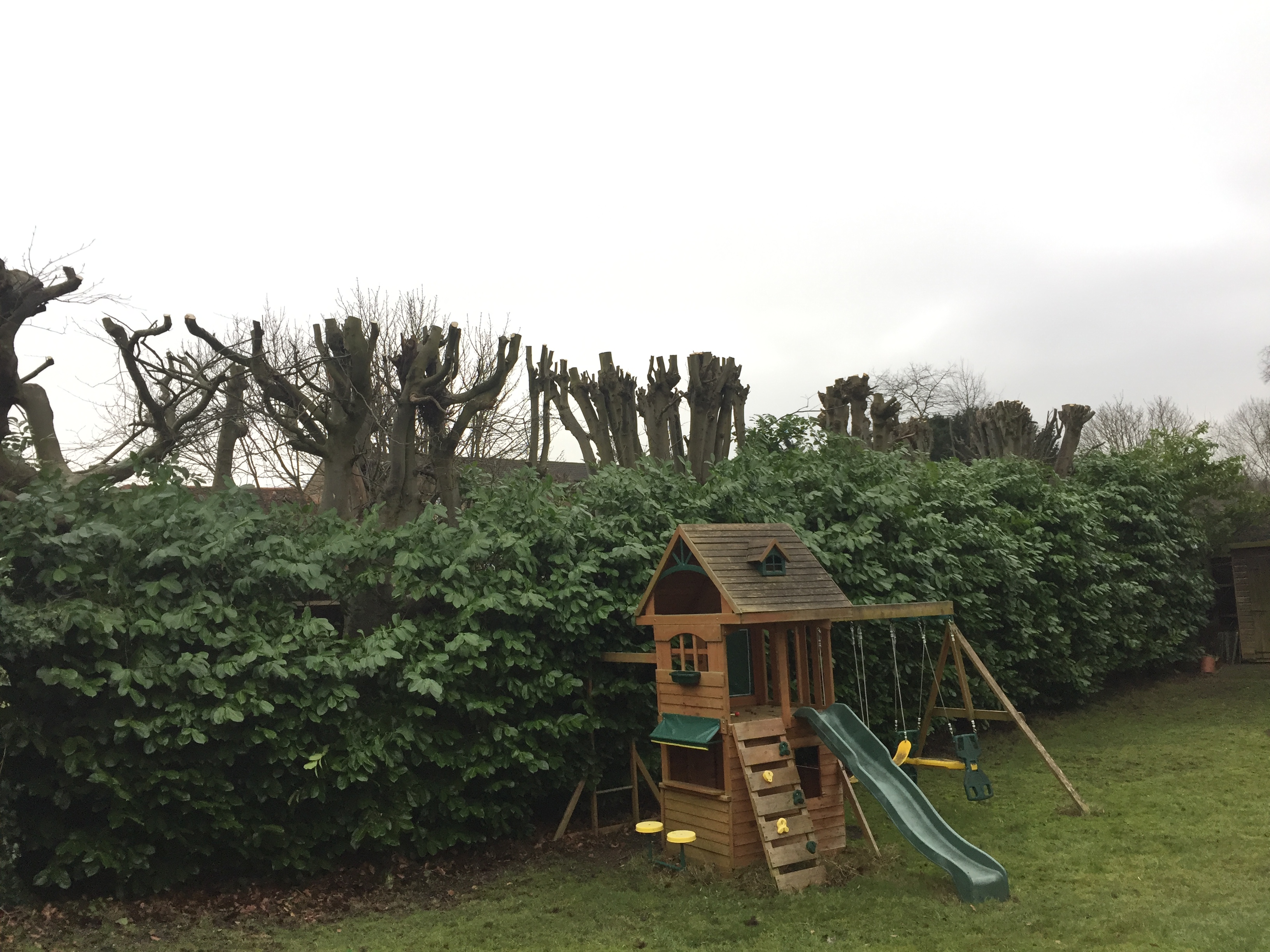 Carpenters Garden Tree Surgeon – A Comprehensive Guide to Tree Surgery